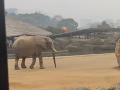 -杭州野生动物世界