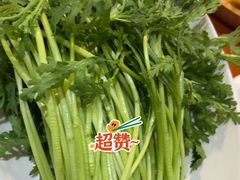 -蒙都43°9羊火锅(平庄店)