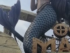 -哈尔滨波塞冬海底世界