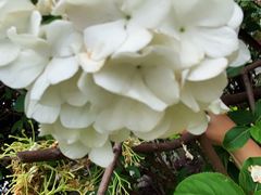 -大龙山(地铁站)