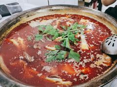 -重庆特色冷锅鱼(武大店)