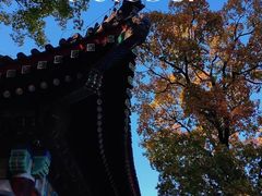 -香山公园