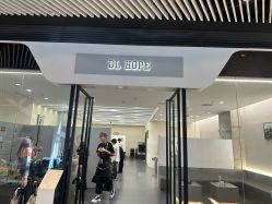 -DL HOPE造型