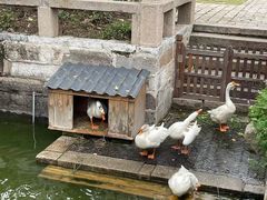 -苏州文庙(姑苏区)