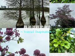 -海珠湖公园