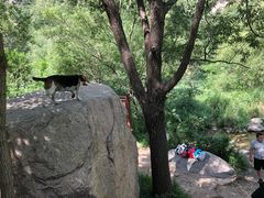 -碓臼峪自然风景区