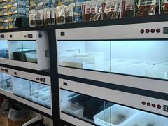 -灵龟之家百象馆(百象馆联合旗舰店)