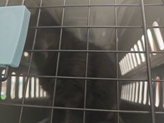 -守诺宠物医院·眼科· 神经外科·爬宠专科(虹口店)