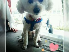 -佑安动物医院·全科·内窥镜中心(幸福巷店)