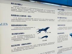 -上海海洋大学鱼文化博物馆(军工路校区)