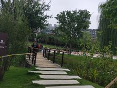 -沐仙湖湿地公园