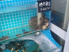 水产区-北戴河庆山饭店·海鲜砂锅粥(北戴河黑石路店)