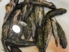 -孙家面馆(小康城店)