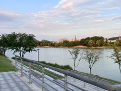 -羊山湖公园