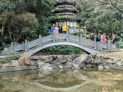 -深圳国际园林花卉博览园