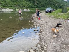 -白河湾生态旅游一条川