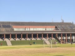 -上海德威外籍人员子女学校(浦东校区)