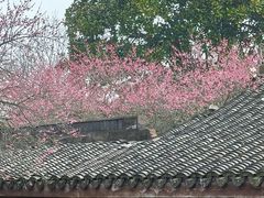 -杭州植物园
