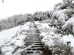 -小绿谷公园