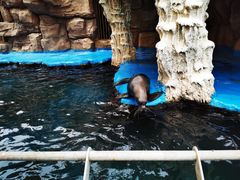 -华夏文旅海洋公园