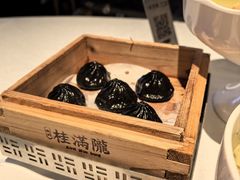 -桂满陇·海市蜃楼·黑金(国金店)