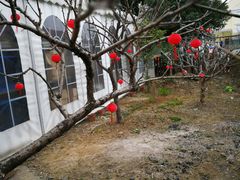 -漫渡庄绿岛花园•隐世庭园菜(滨湖店)