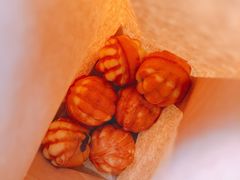 -莫朗核桃饼(虹泉路店)
