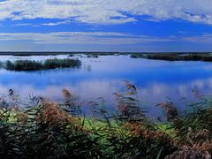 -盐城丹顶鹤湿地生态旅游区