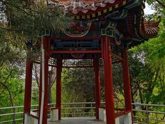 -黄村公园