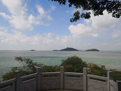 -上海市保健医疗中心