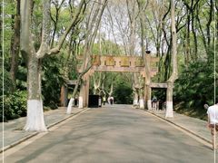 -灵谷景区