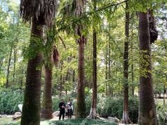 -苏州河梦清园环保主题公园