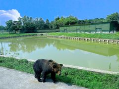 -上海野生动物园