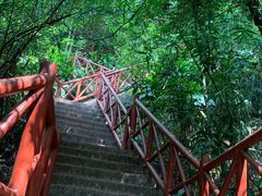 -广州市白云山风景名胜区