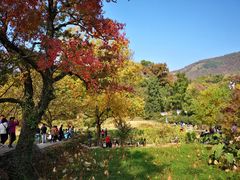 -塔川景区