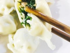 茴香猪肉-山东水饺(南坪新街店)