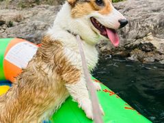 -安吉龙王山峡谷漂流