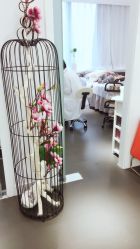 点击看大图 -MIVI·纹眉半永久野生眉