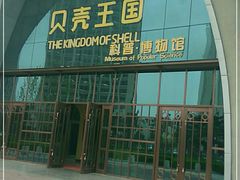 -贝壳王国博物馆