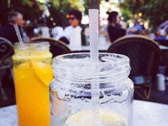 -The Grounds of Alexandria