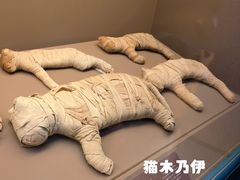 -上海博物馆