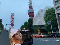 -东京塔海贼王主题公园