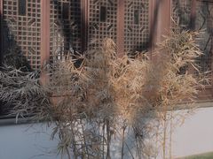 -南京民俗博物馆(甘熙故居)