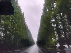 -东白山