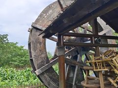 -同里国家湿地公园