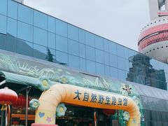 -上海大自然野生昆虫馆(东方明珠·爬宠昆虫探索中心)