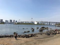 -台场海滨公园船码头