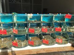 水产区-聚德福海鲜家常菜(刘庄店)