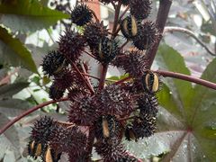 -陈李济中药博物馆