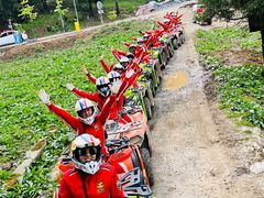 -武陵山森林公园